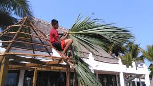 To make a roof, simply tie some fronds to a timber frame, working from the permaculturenews.org has a great suggestion for how to use up all those palm fronds: Palm Thatch Roof Discussing Palm Trees Worldwide Palmtalk