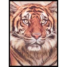 We have a massive amount of hd images that will make your computer or smartphone. 3d Wall Art Tiger Close Up Portrait Framed Lenticular Picture 84 2517 Orange Black I Want Wallpaper