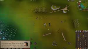 Ernest the chicken is a novice quest which requires players to discover what happened to the missing ernest. Osrs Holy Grail Quick Guide
