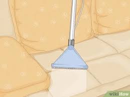 Wobei ich eher glaube, dass er markiert hat, weil es immer noch so extrem. Geruche Von Einem Sofa Entfernen 14 Schritte Mit Bildern Wikihow