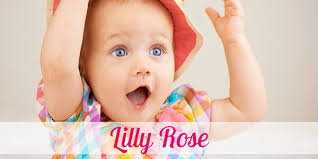 ▷ Vorname Lilly Rose: Herkunft, Bedeutung & Namenstag