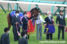 主な勝ち鞍は 2021年 の 共同通信杯 (giii)、 皐月賞 (gi)。. ã‚¨ãƒ•ãƒ•ã‚©ãƒ¼ãƒªã‚¢ ç«¶èµ°é¦¬ãƒ‡ãƒ¼ã‚¿ Netkeiba Com