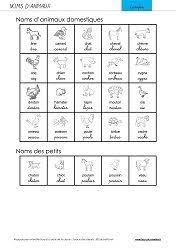 Epingle Sur Vocabulaire Repertoire Lexique