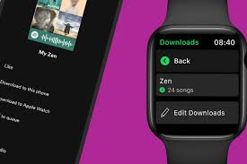 The final step is to click the convert button.the program will immediately start downloading and converting apple music songs to mp3 format. Spotify Finally Adds Offline Music Downloads On Apple Watch The Verge
