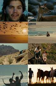 A Blog Dedicated To Into The Wild Wild Movie Film Inspiration Film Stills