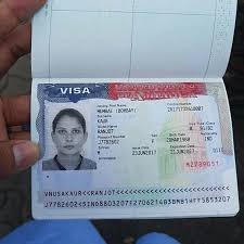 Work Visa Usa Apply For A Usa Work Visas And Work Permits In 2020 Work Visa Visa Online Visa