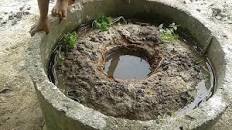 Hasil carian imej untuk TIPS SUKSES PEMBIBITAN BELUT DILAHAN SEMPIT