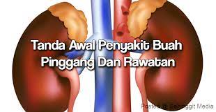 Jika salah satu tanda di atas ada pada anda, segera lakukan pemeriksaan/diagnos di klinik atau hospital berdekatan untuk kepastian. Tanda Awal Sakit Buah Klinik Tegoh Dr Amir Johaniff Facebook