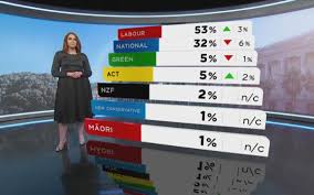 New Political Poll Assessing The Fortunes Of The Minor Parties Scoop News