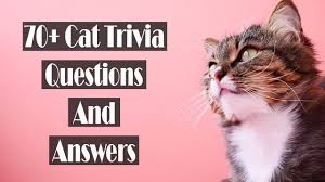 No matter how simple the math problem is, just seeing numbers and equations could send many people running for the hills. 70 Cat Trivia Questions And Answers All Types