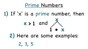 Start with prime and composite numbers up to 20, then move on to 50 and then try 99! What S A Prime Number Virtual Nerd