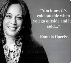 You don't say?👀 "You know it's cold outside when you go outside and it  cold..." ~Kamala Harris~