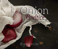 To make one, put the prepared onion in small pouch and place the securely tied poultice in a sock. The Onion Poultice Gwen S Nest
