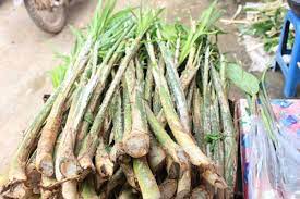 กิจกรรมหรือที่เที่ยวที่ห้ามพลาดใน ป่าหวาย เรารวบรวมที่เที่ยวมาให้สำหรับทริปใน ป่าหวาย ของคุณโดยเฉพาะ à¸«à¸§à¸²à¸¢ à¹à¸¥à¸°à¸›à¸£à¸°à¹‚à¸¢à¸Šà¸™ à¸ˆà¸²à¸à¸«à¸§à¸²à¸¢ à¸ž à¸Šà¹€à¸à¸©à¸•à¸£ à¸„à¸­à¸¡