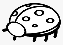 Cat kamar tidur keren monokrom hitam putih. Ladybird Outline Gambar Lady Bird Hitam Putih Hd Png Download Kindpng
