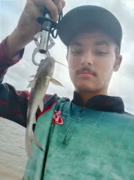 Don't forget to post your catch or whereabouts