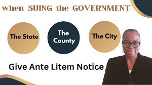 Suing The Government For Personal...