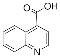 4-Quinolinecarboxylic acid