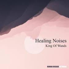 Stream Premiere Healing Noises Can T Wait To Meet Her Out On Human Disease Network By Seeksicksound Listen Online For Free On Soundcloud