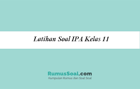 Latihan soal uts fisika kelas 11 semester 1. Latihan Soal Ipa Kelas 11 Pilihan Ganda Essay Kunci Jawaban