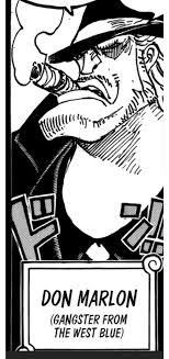 Look how Oda gave tribute to my man : r/MemePiece