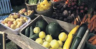 Les Fruits Et Legumes Exotiques Prennent Racine La Terre De Chez Nous
