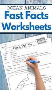 Pin On Homeschooling Freebies