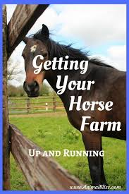 Getting Your Horse Farm Up And Running The Essentials In 2020 Horse Farms Horses Horse Farm Ideas