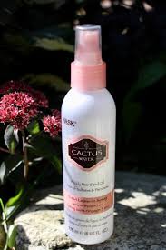 Hask cactus water conditioner 355ml. Kondicioner Dlya Volos Hask Cactus Water Nesmyvaemyj Otzyvy Pokupatelej