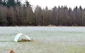 Mathias cassel was born in 1663, at birth place. Geflugelpest Erste Amtliche Verdachtsfalle In Zwei Geflugelhaltungen Im Kreis Gutersloh Und Kreis Paderborn Moderner Landwirt