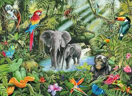 Pin On Rainforest Art