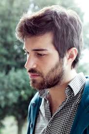 Discover 44 beard bias and beard ideas