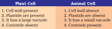 We did not find results for: Illustrate Only A Plant Cell As Seen Under Electron Microscope How Is It Different From Animal Cell Sarthaks Econnect Largest Online Education Community