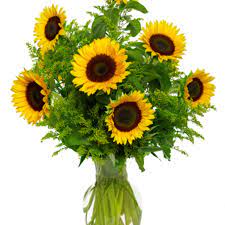 Terry's florist is a premium one stop shop to order flowers for all occasions offering exquisite arrangements for birthdays, anniversaries, special days, and all celebrations. Norfolk Florist Flower Delivery By Julian S Flowers