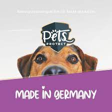 Taurin Pulver Lebensnotwendig Fur Katzen Gut Fur Hunde Pets Protect