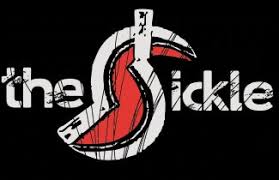 Image result for gruppi pop logo