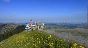 Dem wegweiser richtung chränzerenpass folgend gelangt man, nach einem kurzen aufstieg über weiden, auf einen gut ausgebauten weg der mehrheitlich flach durch einen wurzeligen wald und moorwiesen führt. Wanderung Schwagalp Kronberg Appenzell Wegwandern Ch