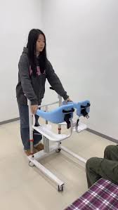 Image result for Handic 199