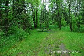 Much of the original white and red norway pine that once blanketed the area is now gone. Moose Lake State Park Campsite Photos Reervations Camping Info