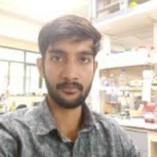 In colony pcr why we aspect only plasmid gene amplification not genomic  gene is this right?