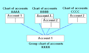 Financial Statement Versions With Group Account Numbers Sap
