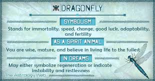 Dragonfly Meaning And Symbolism The Astrology Web