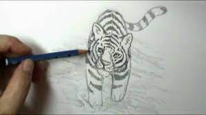 I do not regret my decision and i think this turned out pretty good with me being so young. How To Draw A Tiger Youtube