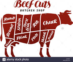 Beef Cuts Animal Silhouette Cow Bull Vector Diagram For