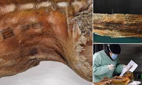 The mummy of otzi, as it was found (vaxzine / cc by nc nd 2.0 ) ötzi's blood cells , dna and modern relatives , diet and final meal , cause of death , possible sound of voice , illnesses during life, clothing, and his tattoos have all been analyzed. Were Otzi The Iceman S Tattoos An Early Form Of Acupuncture Scientists Believe 5 000 Year Old Skin Etchings Were Therapeutic Daily Mail Online