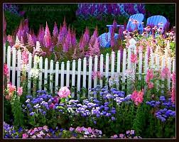See more of flowers fence garden on facebook. Beautiful Gardens Beautiful Flowers Flower Garden