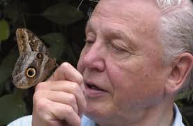 REFLECTING ON ENTOMOLOGICAL HISTORY