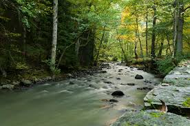Borjomi Central Park (GEORGIA)