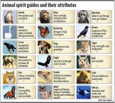 Pin On Animal Medicine