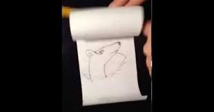Barking Dog Two Page Flip Book Animation Flip Book Animation Flip Book Page Flip